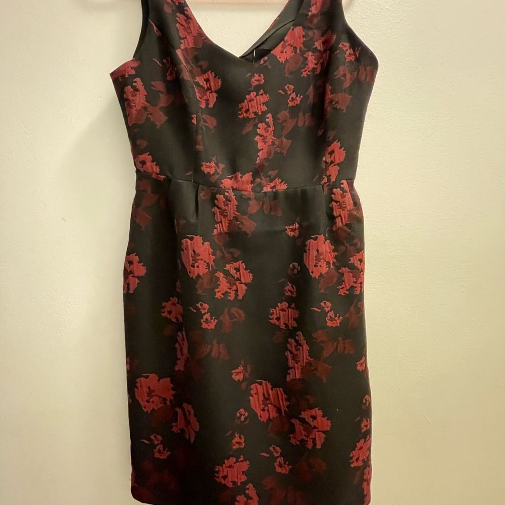 Jack. - Picture 2 of 11